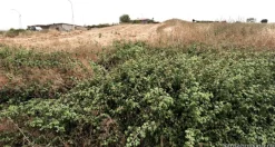 Lotti urbanizzati a Villanovafranca
