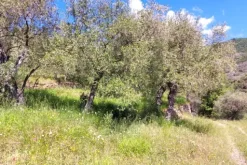 #24283 Lotto di terreno (porzione 4) in ex polveriera