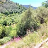 #24284 Lotto di terreno (porzione 5) in ex polveriera