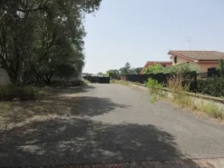 #14036 Magazzino con area di pertinenza
