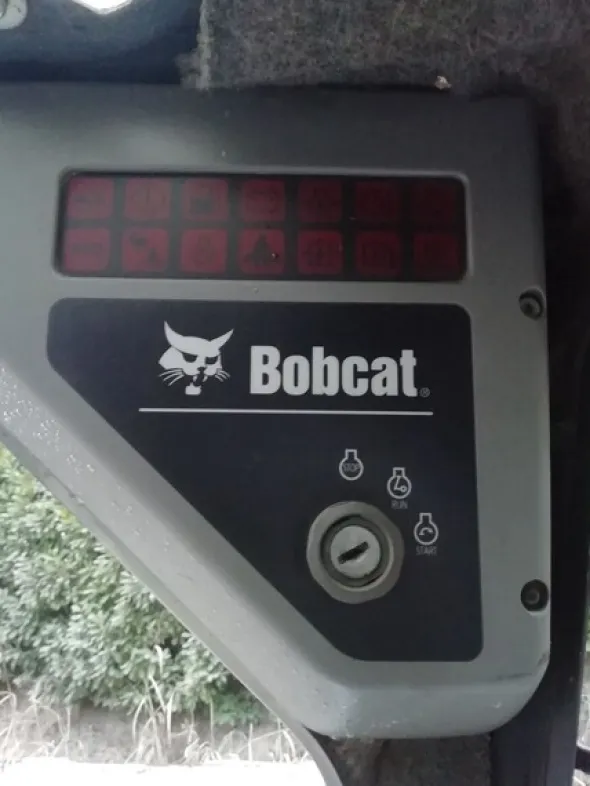 2#6950 Minipala cingolata Bobcat