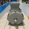 MOTORE ELETTRICO TRIFASE 18.5 kW