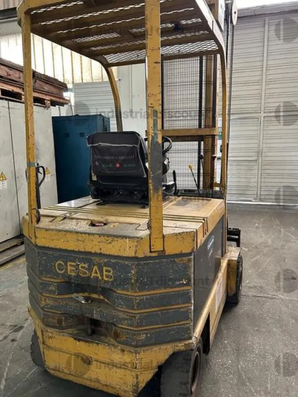 8#8965 Muletto Cesab