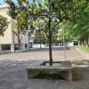 #23904 Negozio in contesto residenziale