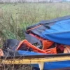 34#5817 Ombrello raccoglitore per olive e aratro Moro