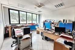 #21995 Opificio con impianto fotovoltaico e terreni edificabili