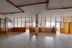 #19019 Opificio industriale con corte esterna