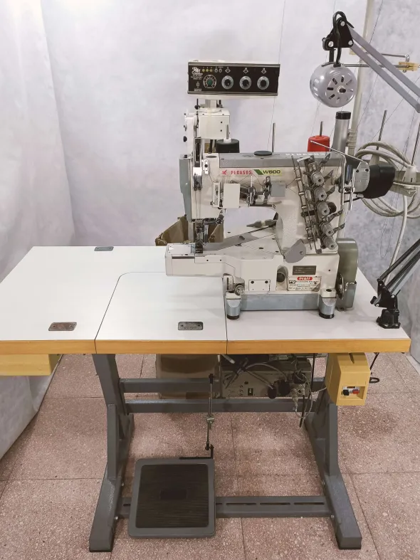 Pegasus W600 inclusa di R.A.M.