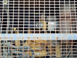 7#4479 Perforatrice Atlas Copco