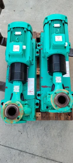 Pompa monoblocco WILO 65/160