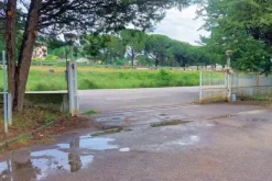 #21099 Porzione di opificio da frazionare (comparto 3)