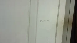 19#6361 Prodotti lavorati e semilavorati in legno