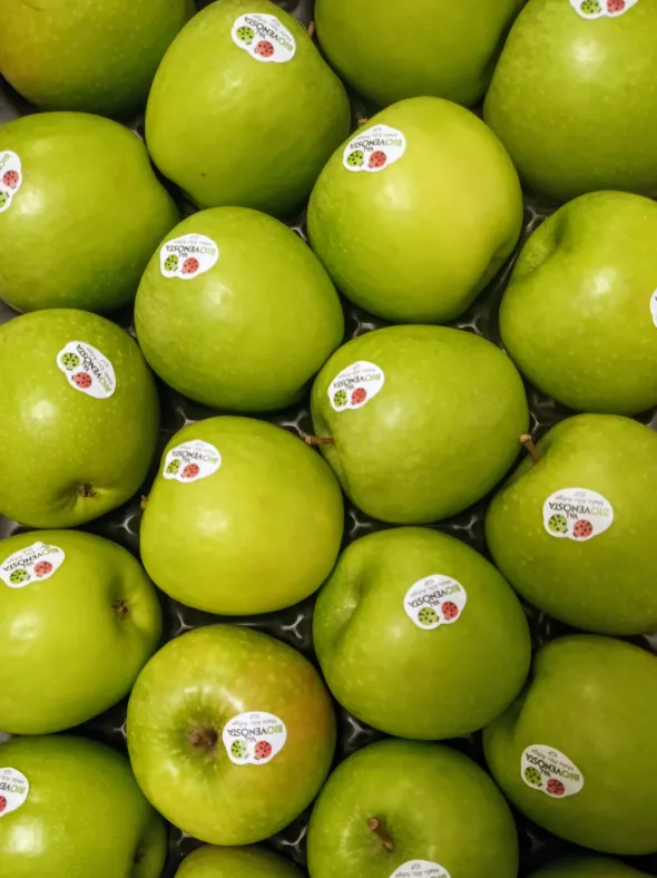 PRODUZIONE ESTRATTI VEGETALI per AGRICOLTURA BIO e NON
