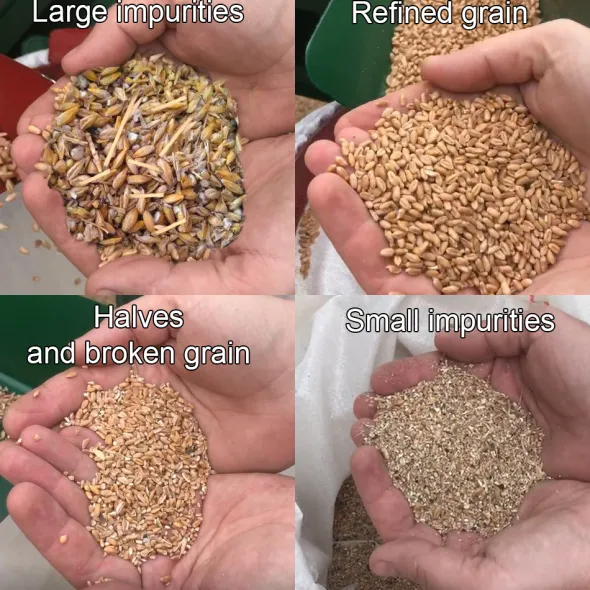 Pulitore Calibratore per Sementi e Cereali600 kg/h