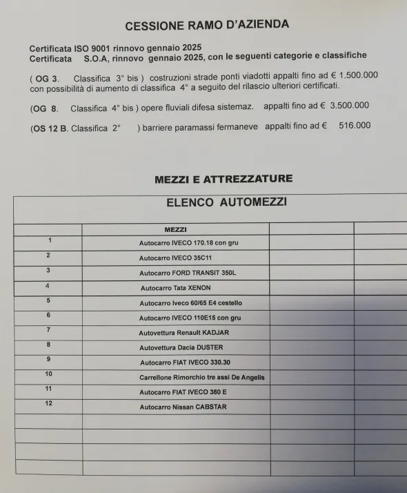 Ramo d'azienda-società