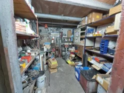 1#7771 Ramo di azienda dedita a commercio prodotti petroliferi