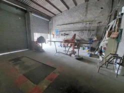 1#7771 Ramo di azienda dedita a commercio prodotti petroliferi