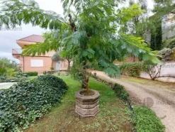 2#7775 Ramo di azienda dedita all'attività di Bed & Breakfast