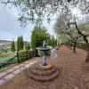 3#7775 Ramo di azienda dedita all'attività di ristorazione