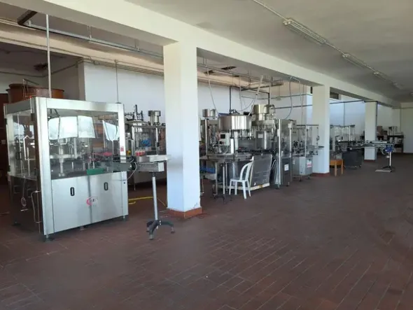 #24291 Stabilimento cantina costituito da fabbricato e attrezzature