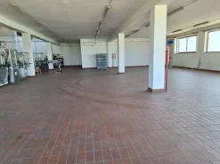 #24291 Stabilimento cantina costituito da fabbricato e attrezzature