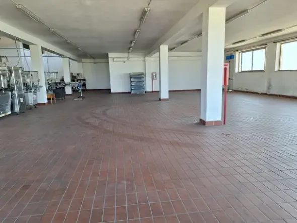 #24291 Stabilimento cantina costituito da fabbricato e attrezzature