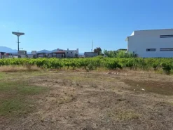#24291 Stabilimento cantina costituito da fabbricato e attrezzature