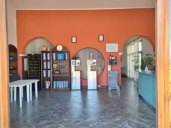 #24291 Stabilimento cantina costituito da fabbricato e attrezzature