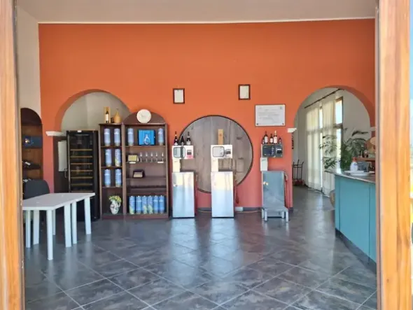 #24291 Stabilimento cantina costituito da fabbricato e attrezzature