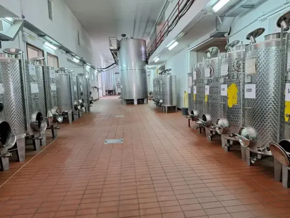 #24291 Stabilimento cantina costituito da fabbricato e attrezzature