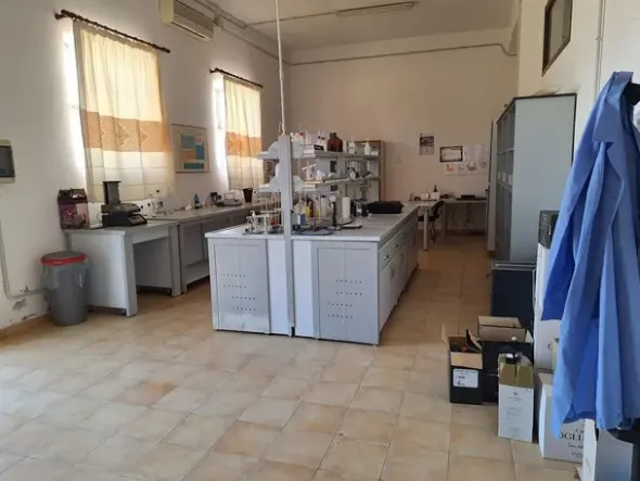 #24291 Stabilimento cantina costituito da fabbricato e attrezzature