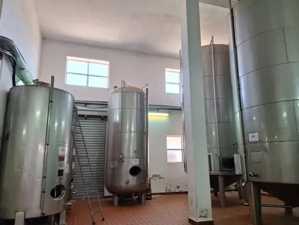 #24291 Stabilimento cantina costituito da fabbricato e attrezzature