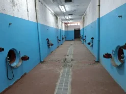 #24291 Stabilimento cantina costituito da fabbricato e attrezzature