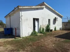 #24291 Stabilimento cantina costituito da fabbricato e attrezzature