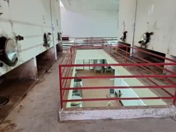 #24291 Stabilimento cantina costituito da fabbricato e attrezzature