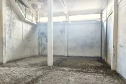 #2537366 Stabilimento con pertinenze da ristrutturare