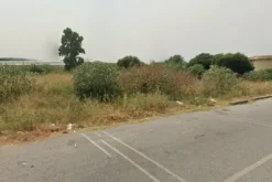 #20832 Stabilimento industriale con corte privata e terreno di proprietà