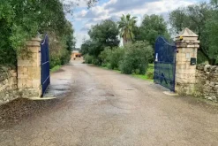 #25632 Stabilimento produttivo con pertinenze e terreni
