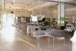 #25632 Stabilimento produttivo con pertinenze e terreni