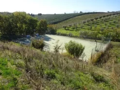 #3306 Struttura turistico rurale a Notaresco