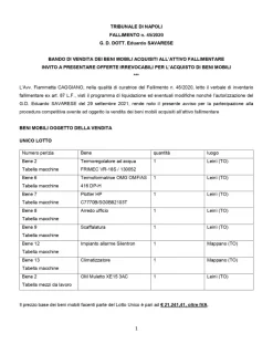 Termoformatrice e altri macchinari e beni