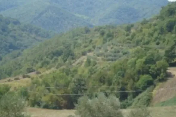 #21219 Terreni agricoli