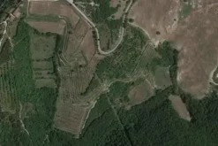 #21219 Terreni agricoli
