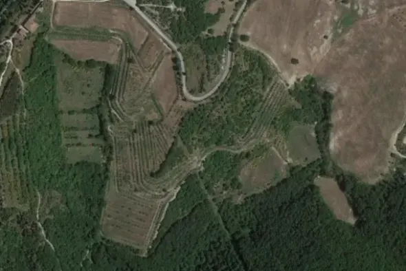 #21219 Terreni agricoli