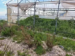 #19821 Terreni agricoli con capannoni e serre