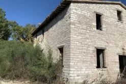 #19968 Terreni agricoli con casa colonica e annesso da ristrutturare