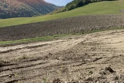 #19969 Terreni agricoli con fabbricati rurali da ristrutturare