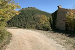#19969 Terreni agricoli con fabbricati rurali da ristrutturare