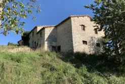 #19969 Terreni agricoli con fabbricati rurali da ristrutturare