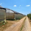 #23566 Terreni agricoli con serre e fabbricati rurali a Vittoria